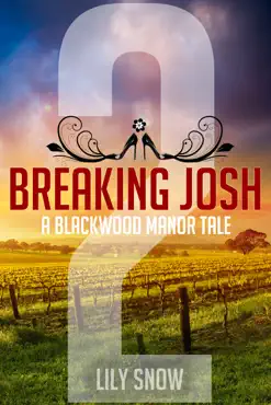 breaking josh 2 book cover image