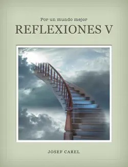 reflexiones v book cover image