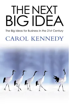 the next big idea book cover image