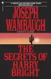 The Secrets of Harry Bright synopsis, comments