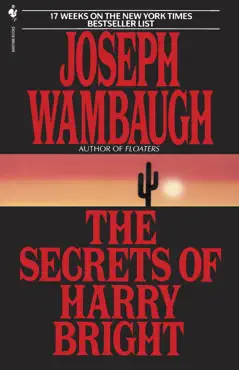 the secrets of harry bright book cover image