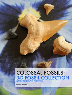 colossal fossils book cover image