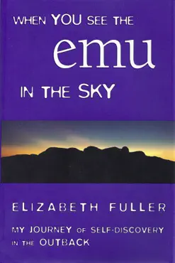 when you see the emu in the sky book cover image