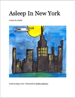 asleep in new york book cover image