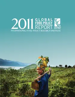 2011 global food policy report book cover image