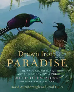drawn from paradise book cover image