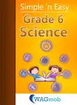 Grade 6 Science synopsis, comments