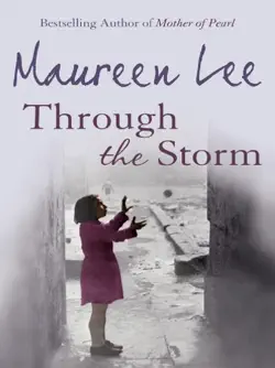 through the storm book cover image