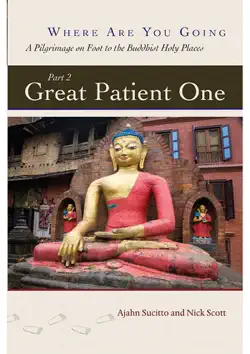 great patient one imagen de la portada del libro