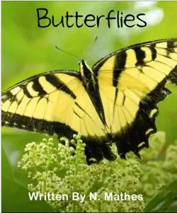 butterflies book cover image