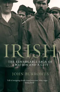 irish book cover image