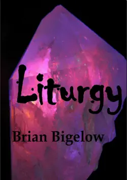 liturgy book cover image