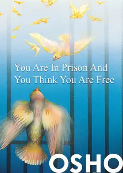 you are in prison and you think you are free book cover image