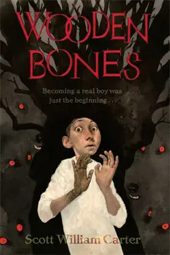 wooden bones book cover image