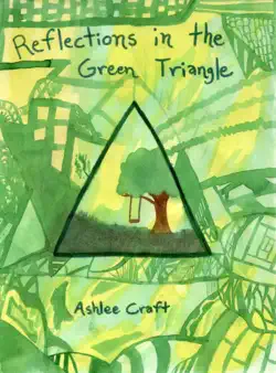 reflections in the green triangle book cover image