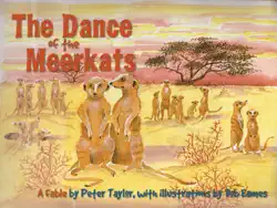 the dance of the meerkats book cover image