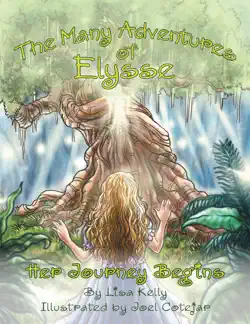 the many adventures of elysse book cover image