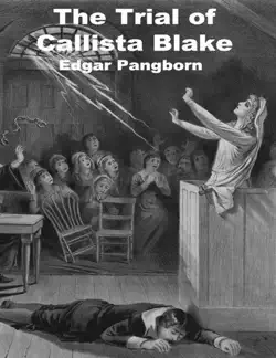 the trial of callista blake book cover image
