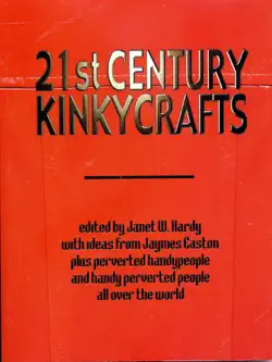21st century kinkycrafts book cover image