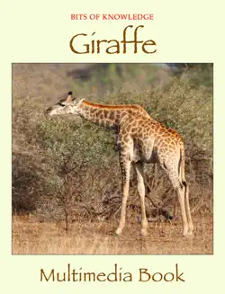 giraffe book cover image