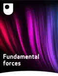 Fundamental Forces