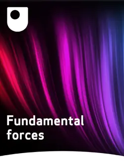 fundamental forces book cover image