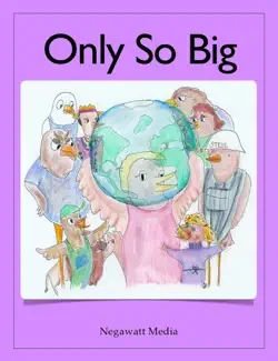 only so big book cover image