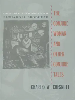 the conjure woman and other conjure tales book cover image