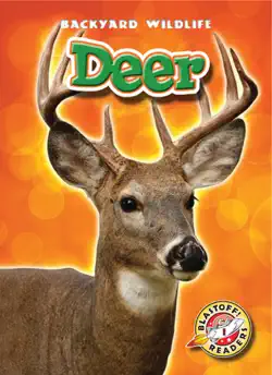 deer book cover image