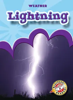 lightning book cover image