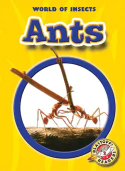 ants book cover image