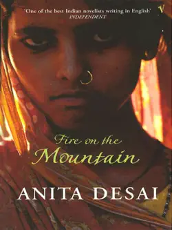 fire on the mountain imagen de la portada del libro