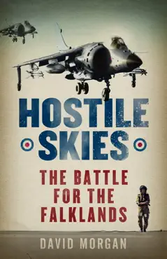hostile skies book cover image