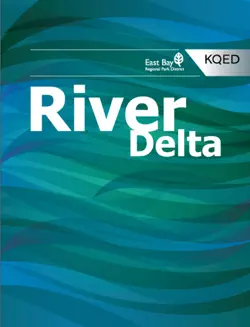river delta book cover image