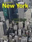 The Seven Wonders of New York sinopsis y comentarios