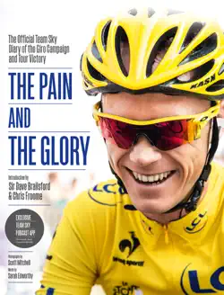 the pain and the glory book cover image