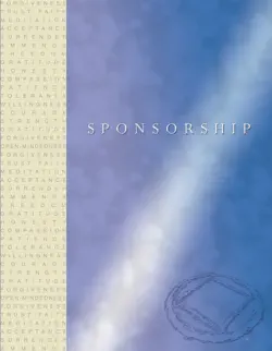 sponsorship book cover image