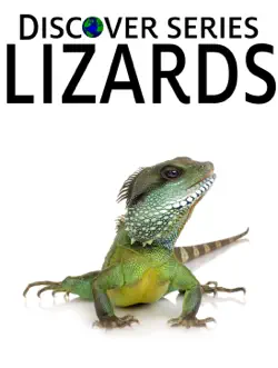 lizards book cover image