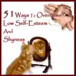 51 Ways to Overcome Low Self-Esteem and Shyness synopsis, comments