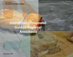 interactive ultrasound guided regional anesthesia book cover image