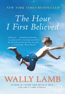 the hour i first believed book cover image