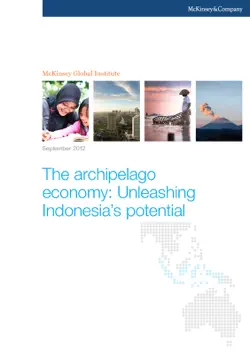 the archipelago economy: unleashing indonesia's potential book cover image