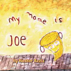 my name is joe book cover image