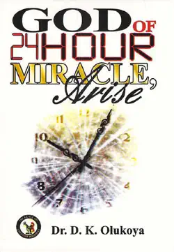 god of 24 hour miracles, arise book cover image