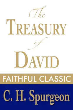 the treasury of david book cover image