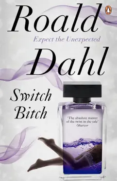 switch bitch book cover image