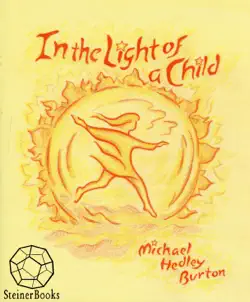 in the light of a child book cover image