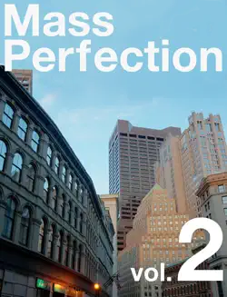 mass perfection, vol 2 book cover image