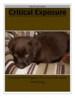 critical exposure raising book cover image