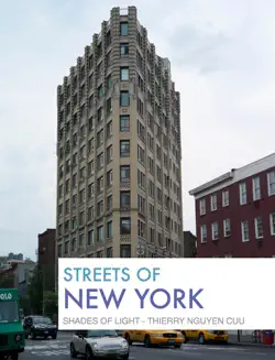 streets of new york book cover image
